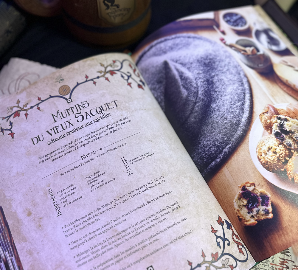 LIVRE "LE SEIGNEUR DES FOURNEAUX"